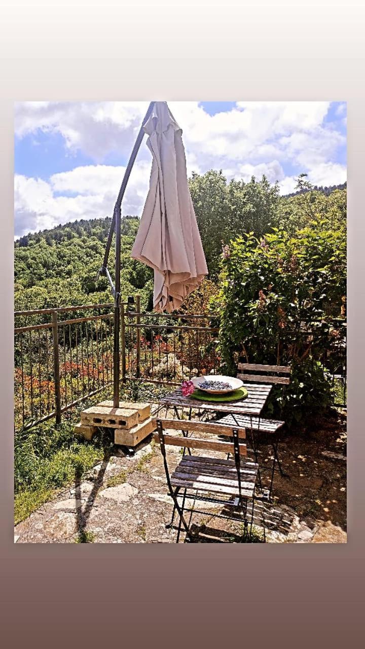 Il Podere Di Massi Barberino di Mugello Exterior foto