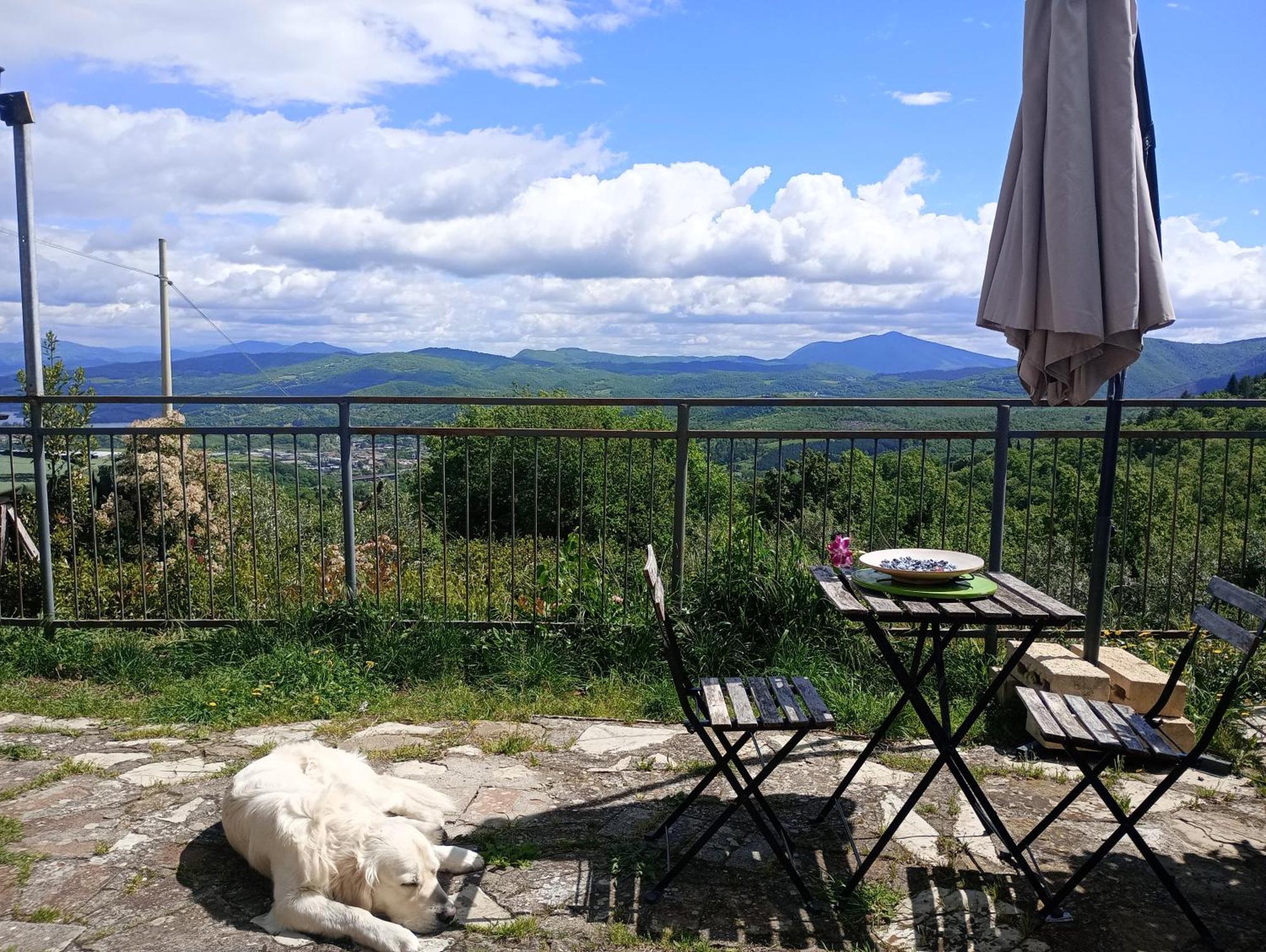 Il Podere Di Massi Barberino di Mugello Habitación foto